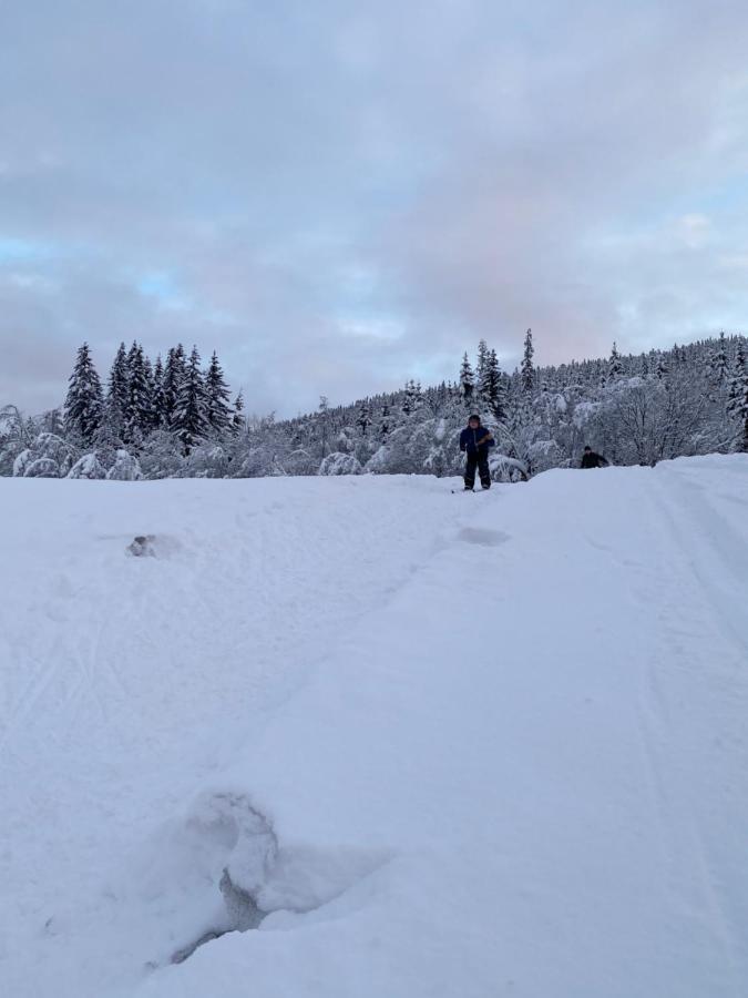 Tuddal Hyttegrend, Gamlestugu, Telemark Exteriör bild