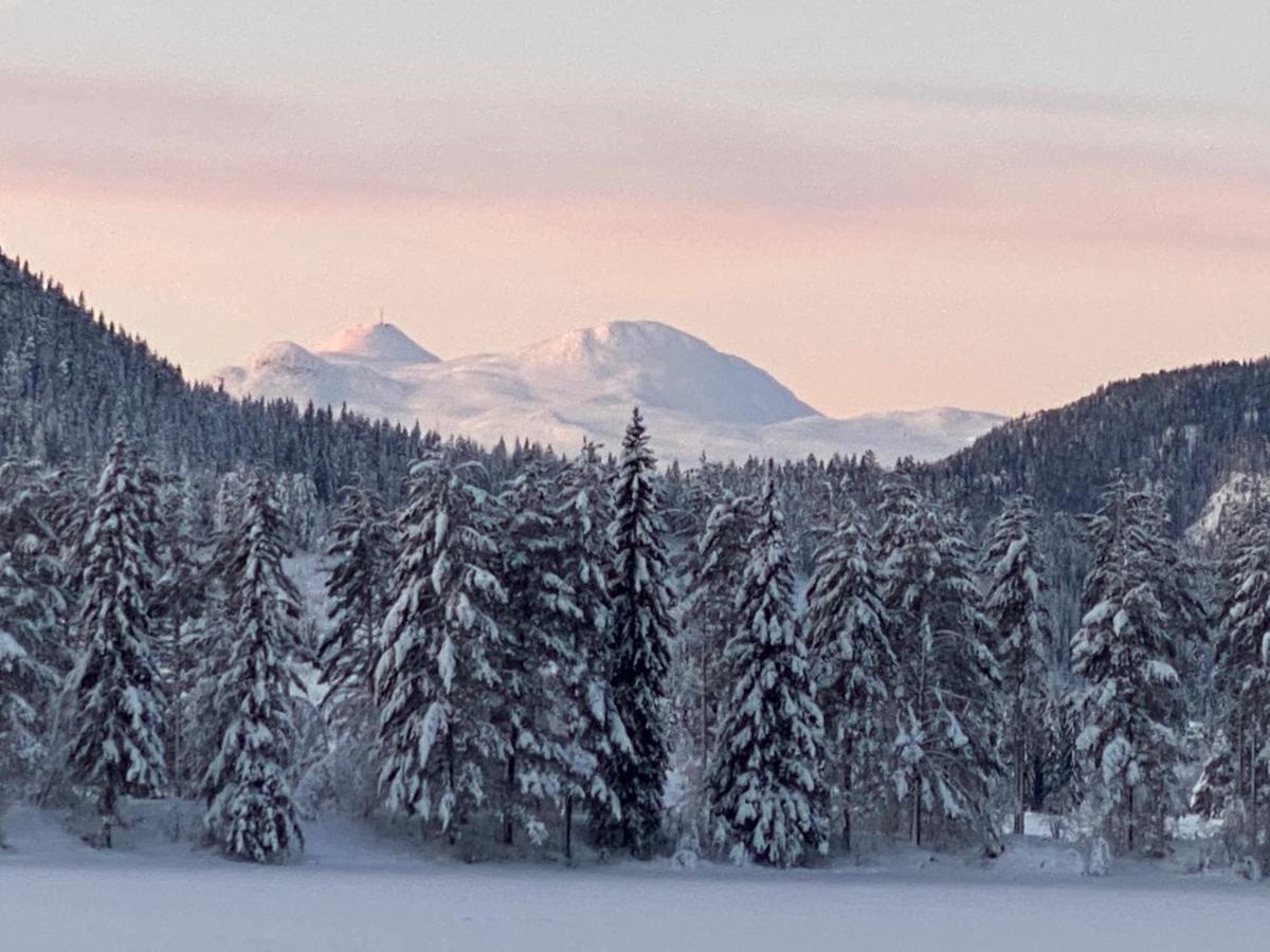 Tuddal Hyttegrend, Gamlestugu, Telemark Exteriör bild